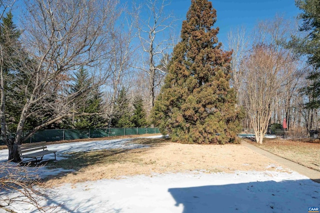 view of snowy yard