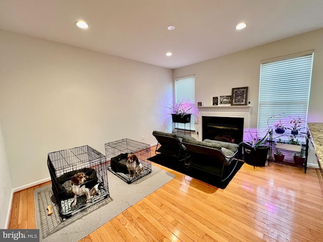 living room with hardwood / wood-style flooring