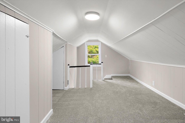 bonus room with lofted ceiling and carpet