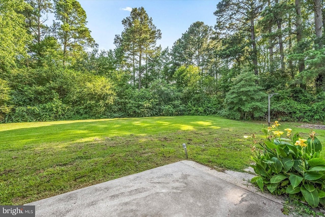 view of yard featuring a patio area