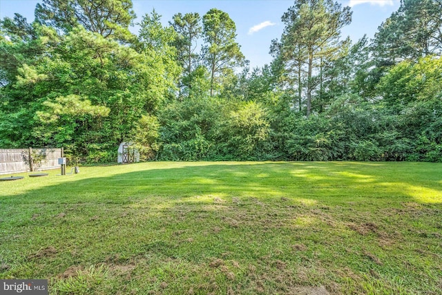 view of yard with a storage shed