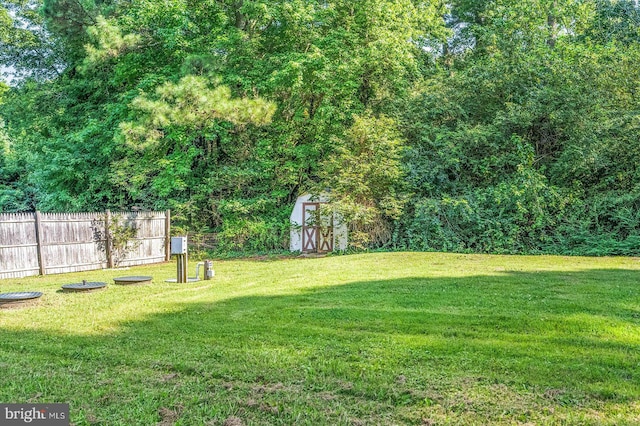 view of yard featuring a shed