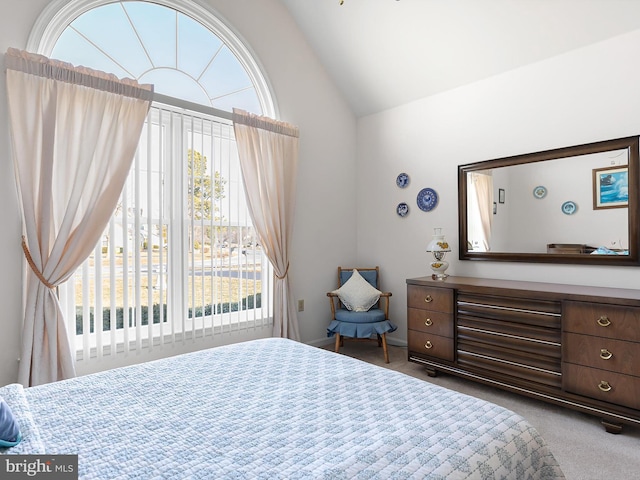 bedroom with lofted ceiling and carpet flooring