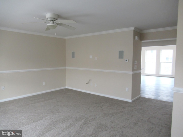 unfurnished room with ceiling fan, ornamental molding, and carpet floors