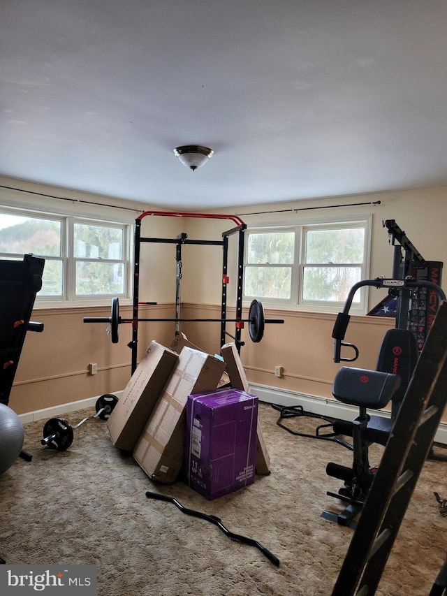 exercise room with carpet and a healthy amount of sunlight