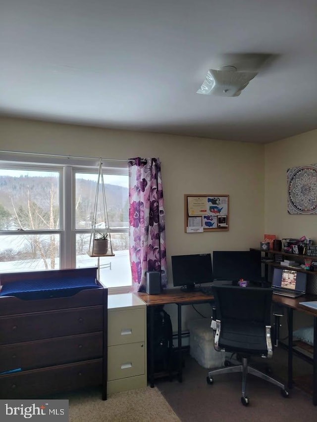 carpeted office featuring a baseboard radiator