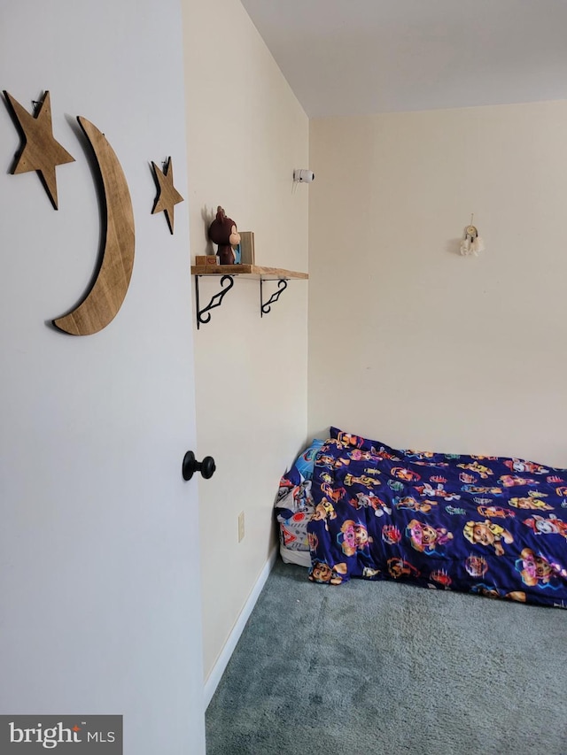 bedroom with carpet floors