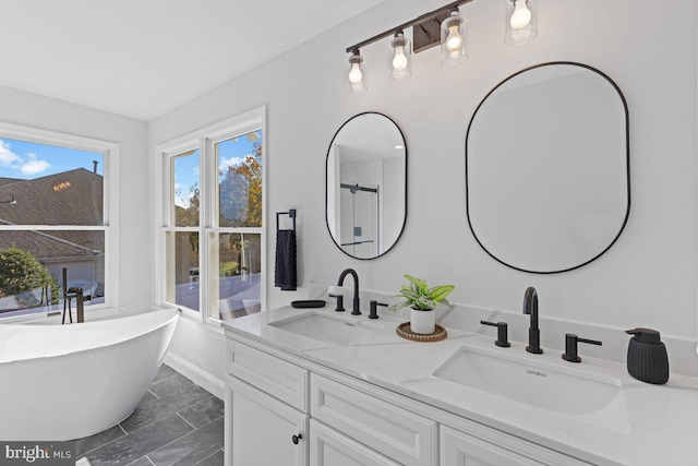 bathroom featuring vanity and a bathing tub