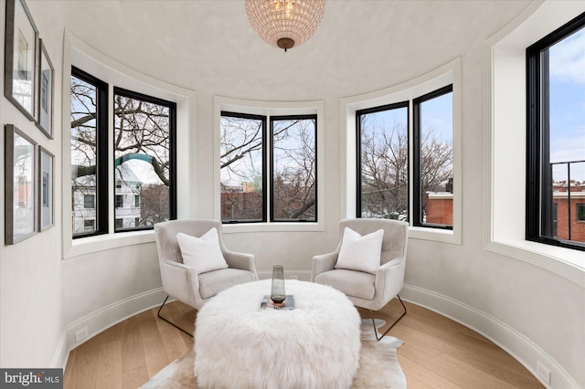 living area featuring hardwood / wood-style floors and a wealth of natural light