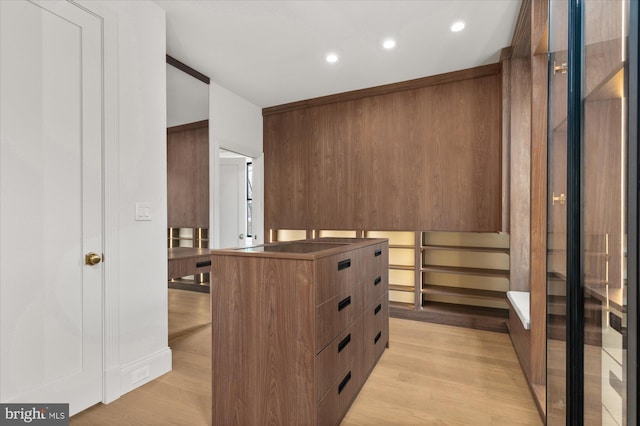 spacious closet with light wood-type flooring