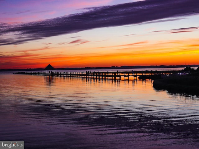 water view featuring a dock