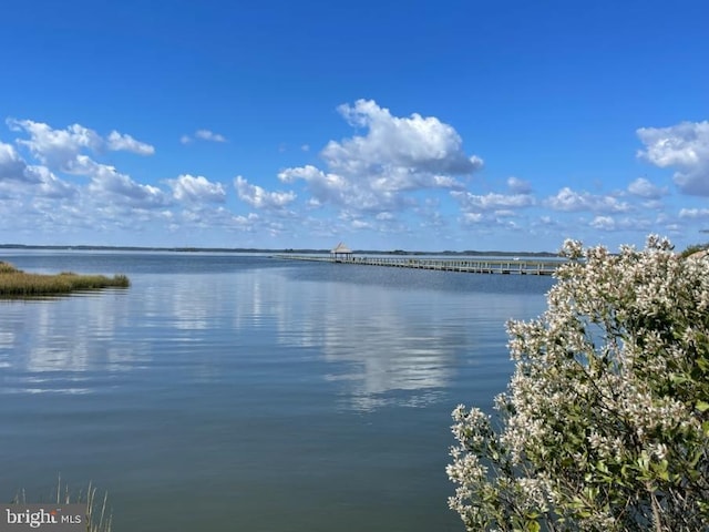 view of water feature