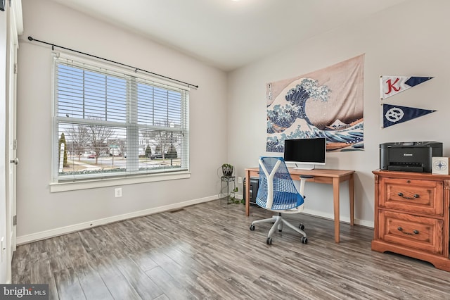 office featuring wood-type flooring