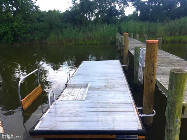 dock area featuring a water view