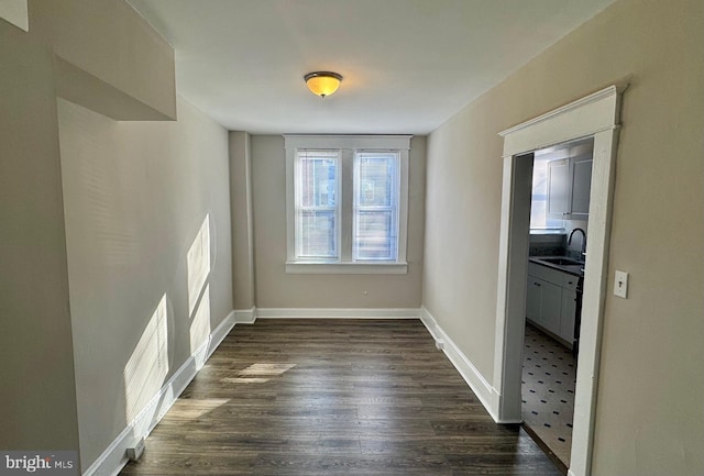 empty room featuring sink and dark hardwood / wood-style flooring