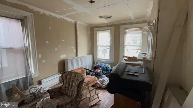 miscellaneous room featuring wood-type flooring