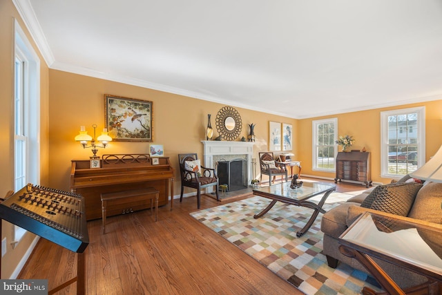 living room featuring ornamental molding and hardwood / wood-style floors