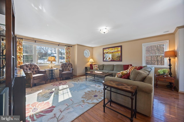 living room with crown molding and hardwood / wood-style flooring