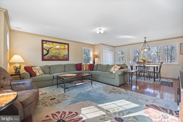 living room with hardwood / wood-style floors and ornamental molding