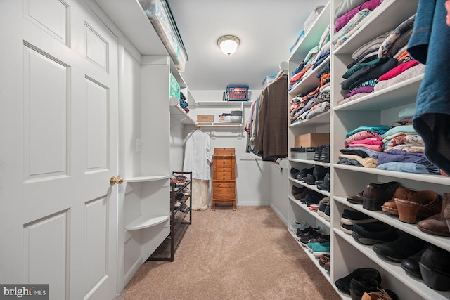 walk in closet with light carpet