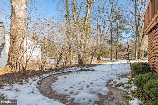 view of snowy yard