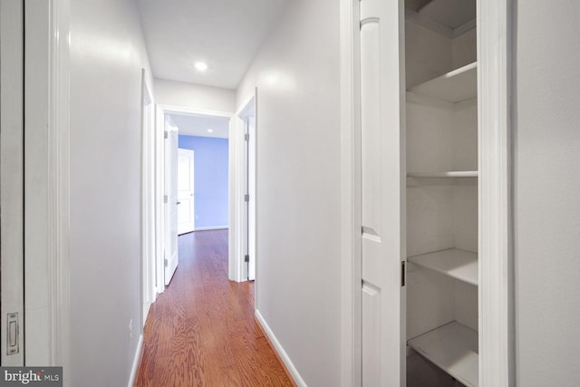 hallway featuring wood-type flooring