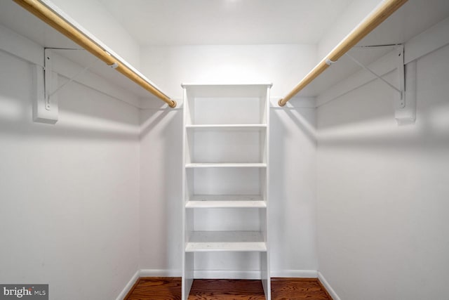 spacious closet with hardwood / wood-style floors