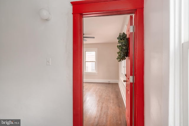 hallway featuring hardwood / wood-style flooring