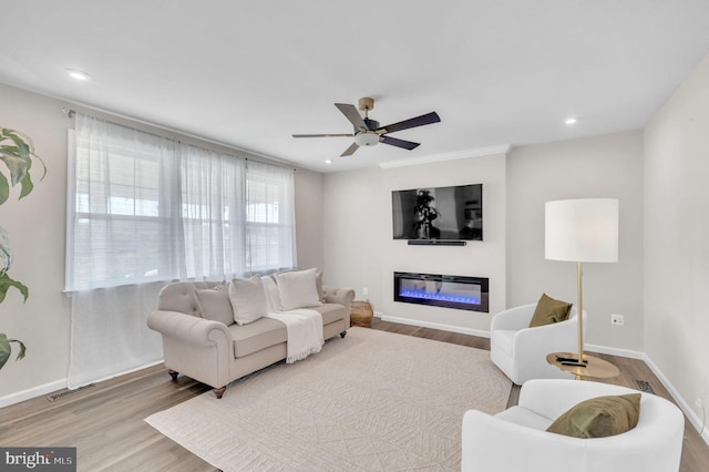 living room featuring hardwood / wood-style floors and ceiling fan