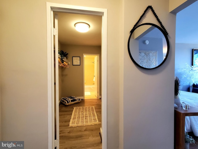 hallway featuring wood finished floors