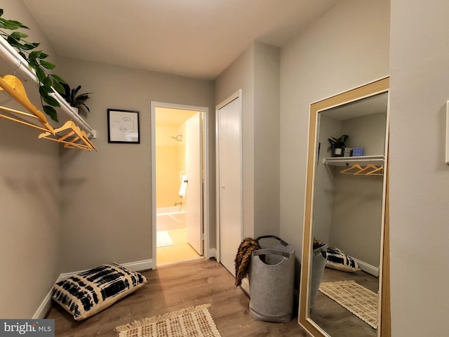 interior space with wood finished floors