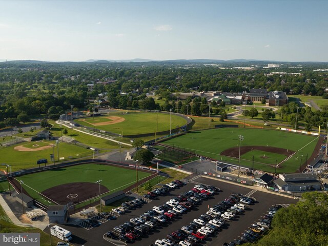 aerial view