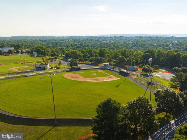 drone / aerial view