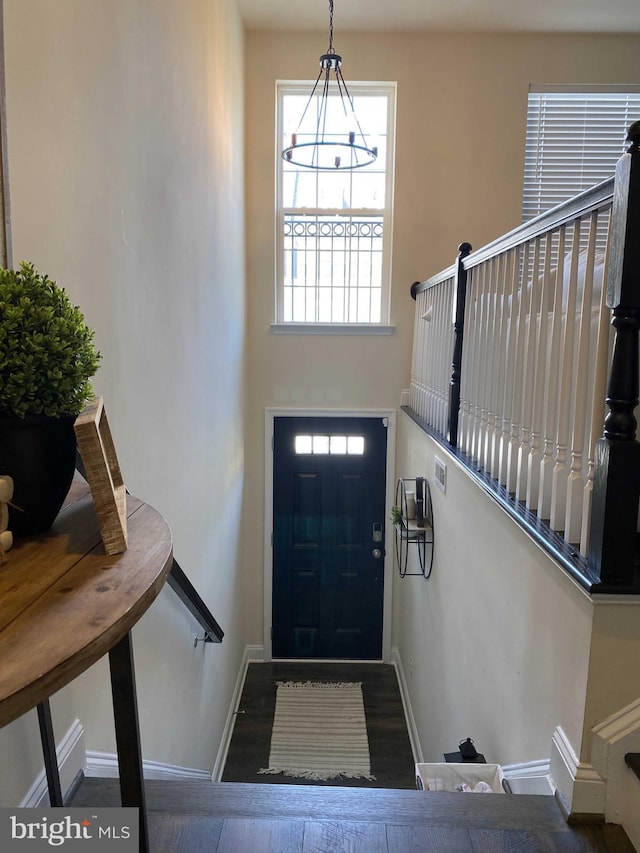 foyer entrance with dark wood-type flooring