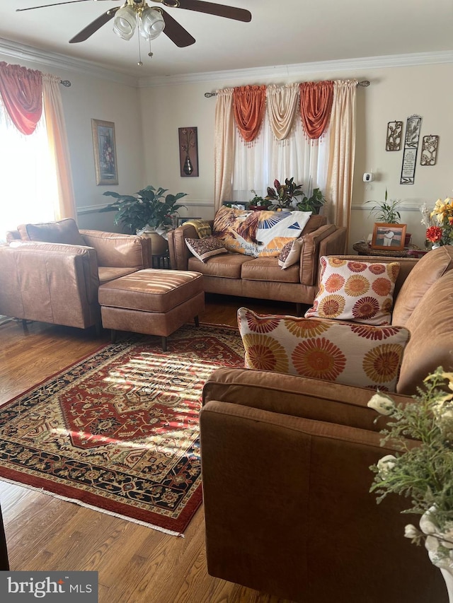 living room with hardwood / wood-style flooring, crown molding, and ceiling fan