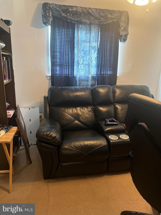 living room featuring carpet flooring