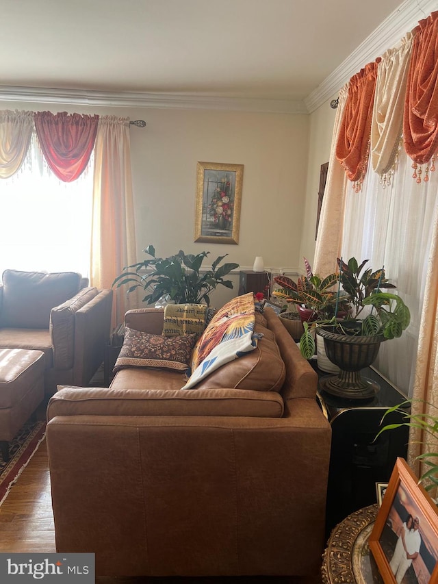 living room with ornamental molding and hardwood / wood-style floors