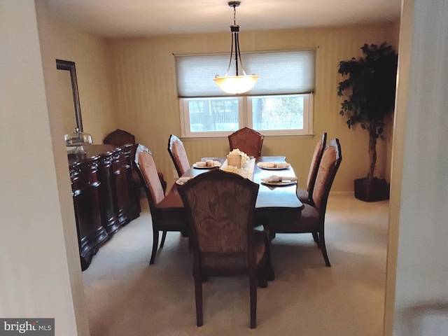 view of carpeted dining room