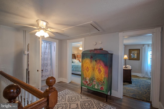 interior space featuring multiple windows, ceiling fan, hardwood / wood-style floors, and a textured ceiling