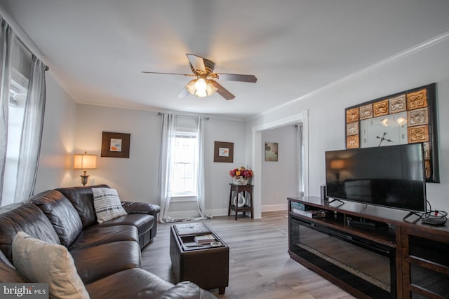 living room featuring crown molding, ceiling fan, and light hardwood / wood-style floors