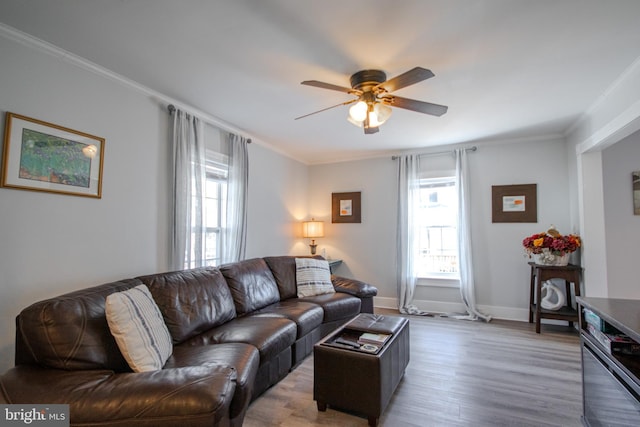 living room featuring crown molding, ceiling fan, and light hardwood / wood-style floors