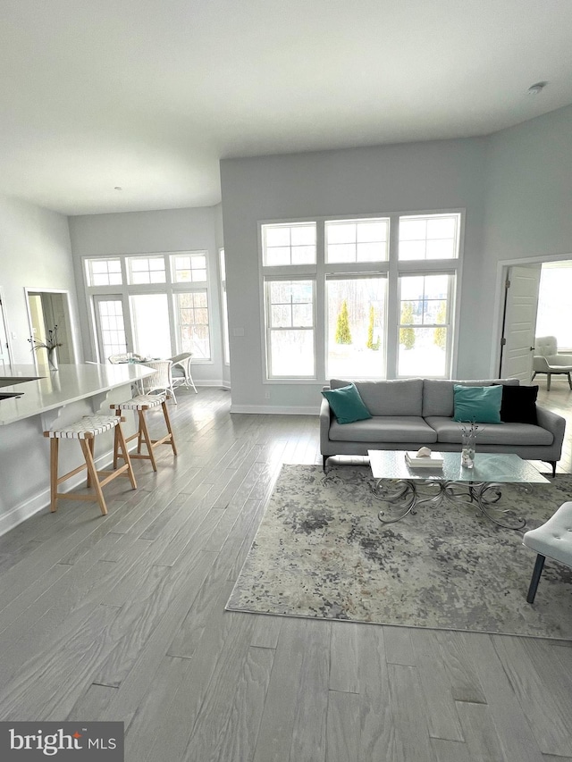 living room featuring light hardwood / wood-style flooring