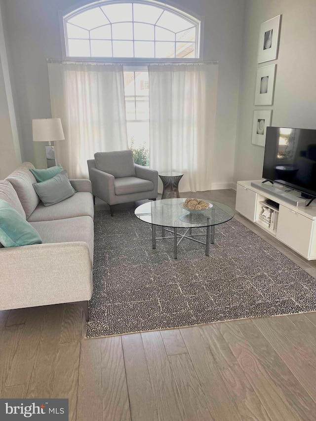 living room featuring hardwood / wood-style floors