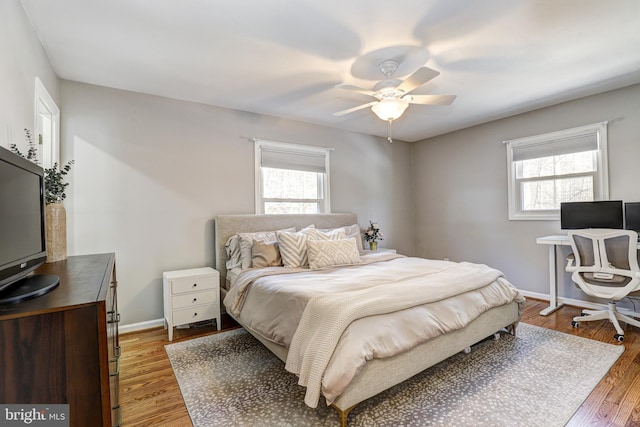 bedroom featuring multiple windows, dark hardwood / wood-style floors, and ceiling fan