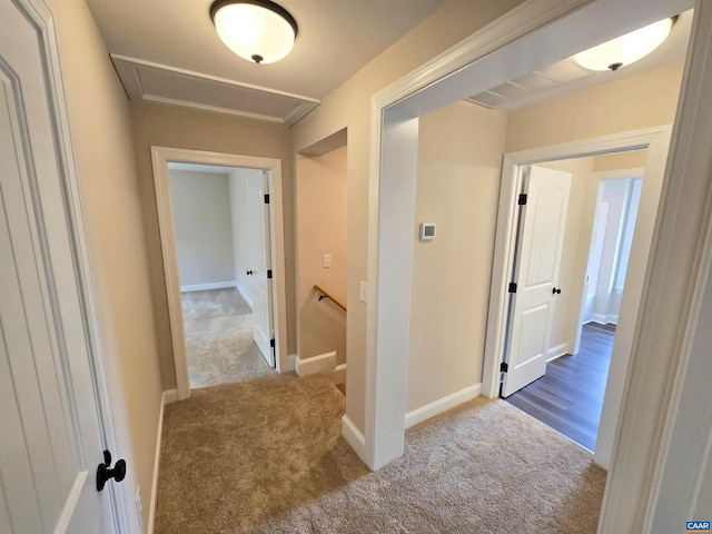 hallway featuring light colored carpet