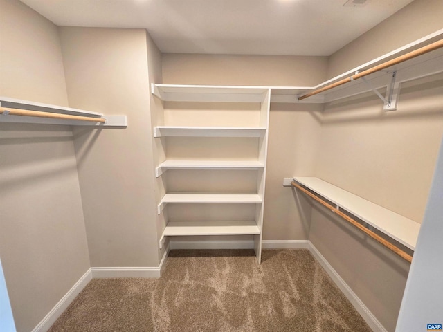 walk in closet featuring carpet floors