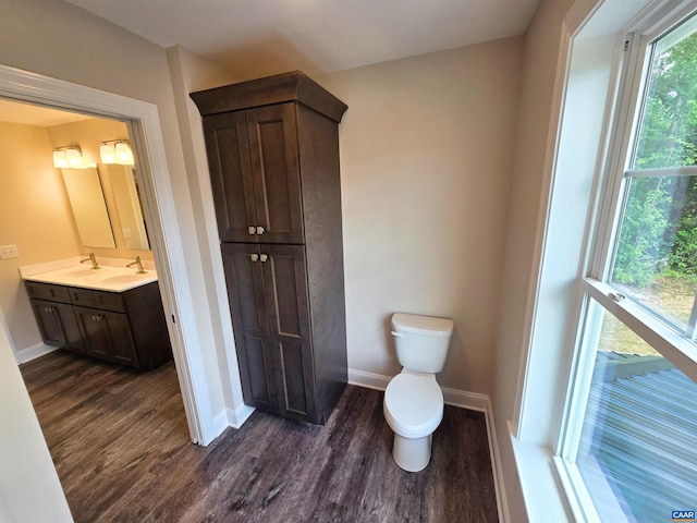 bathroom featuring vanity, hardwood / wood-style flooring, and toilet