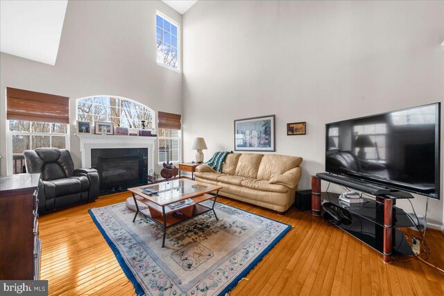 living room with light wood-type flooring