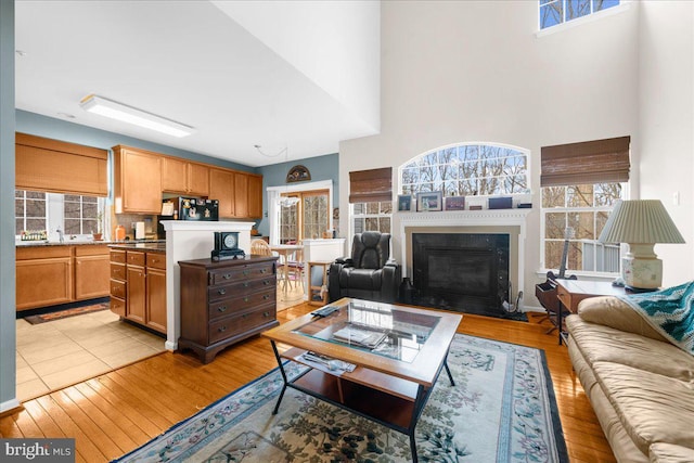 living room with light hardwood / wood-style floors