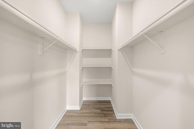 spacious closet featuring light hardwood / wood-style floors